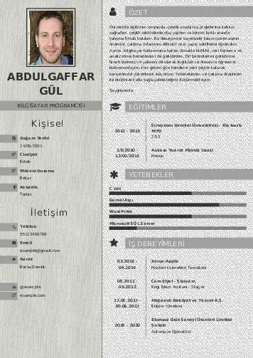 Bilgisayar Programcısı CV Örnekleri cv indir